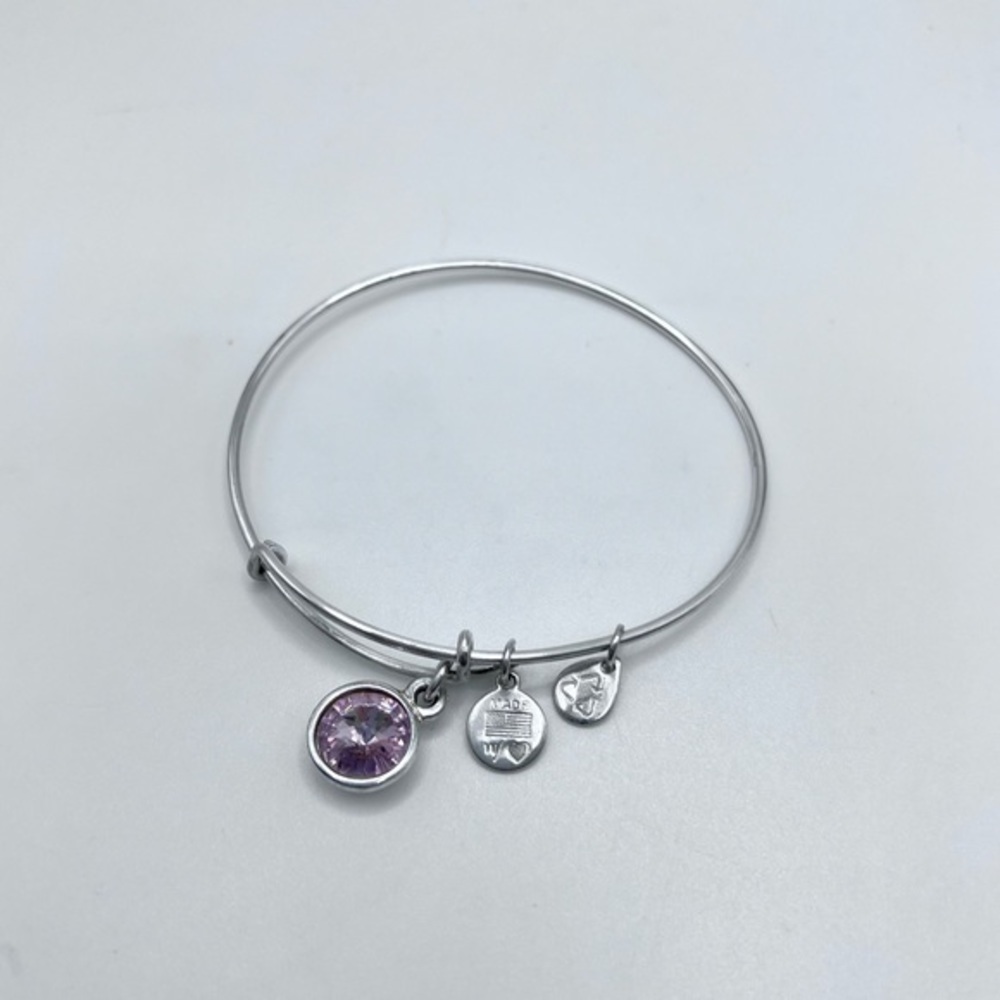 Alex and Ani Purple Crystal Charm Bangle Bracelet Silver Tone Adjustable